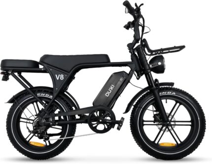 OUXI E-Bike 250W Motor Elektrofahrrad 20" x 4.0 Fatbike Hydraulische Scheibenbremsen NFC-Entsperrung 60Nm Drehmoment Vorne & Hinten Gepäckträger