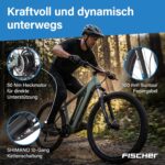 Fischer E-Bike MTB Montis 2.2 Active Elektrofahrrad für Damen und Herren, RH 43, Heckmotor 50 Nm, 48 V Akku
